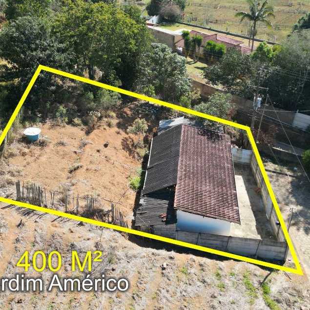 Patrícia Guimarães