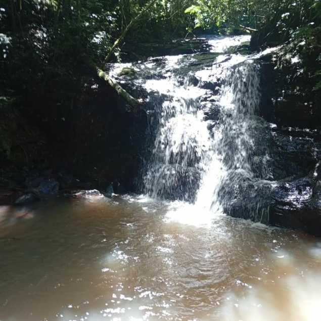 {{layout.imobiliaria.imb_razaosocial}}