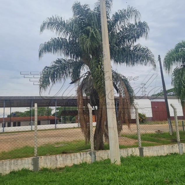 JOSIANE OLMEDO CORRETORA DE IMÓVEIS