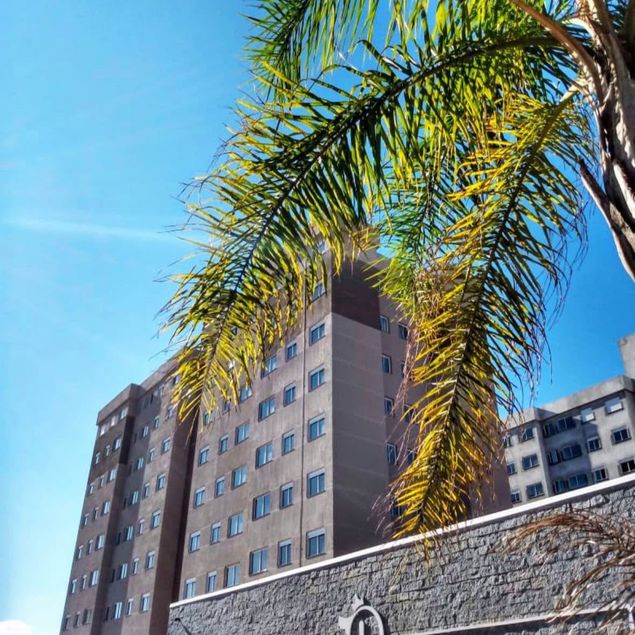 Clecia Helena Kessler Kolher