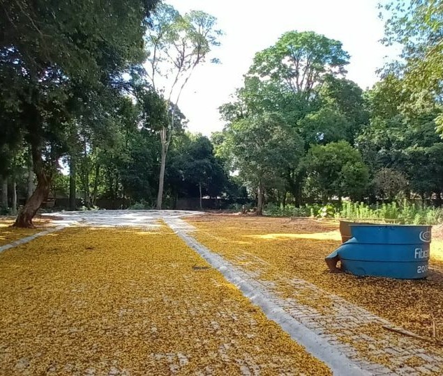 Rosana Lorenzoni & Cia. Ltda.