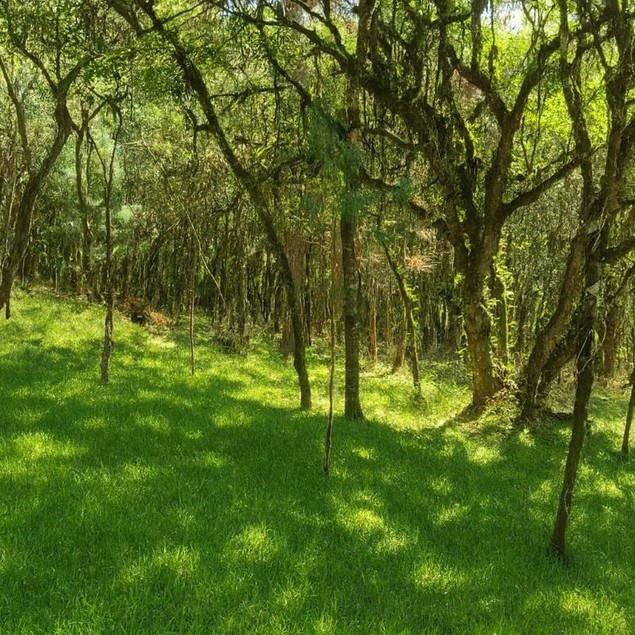 Moratta Imóveis Ltda