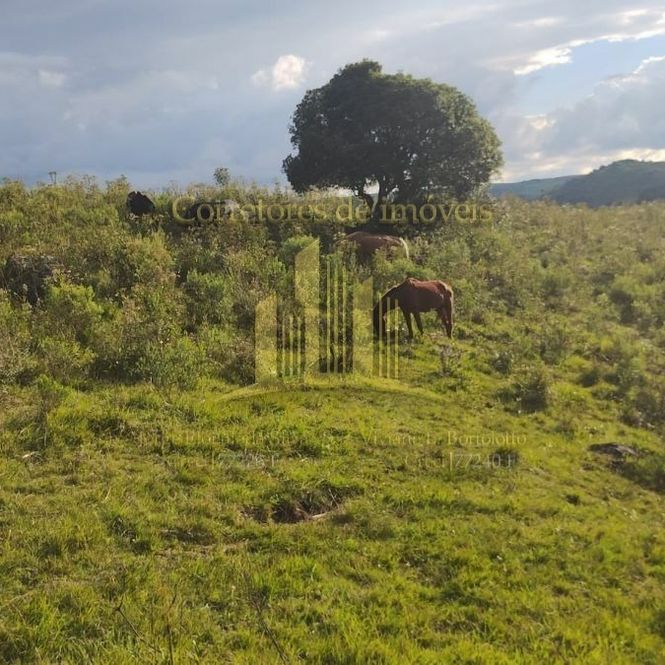 Área Rural Interior