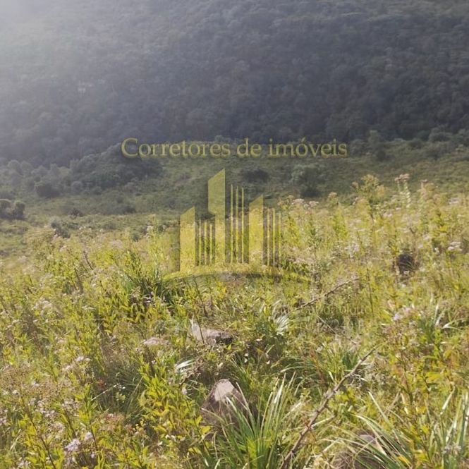 Área Rural Interior