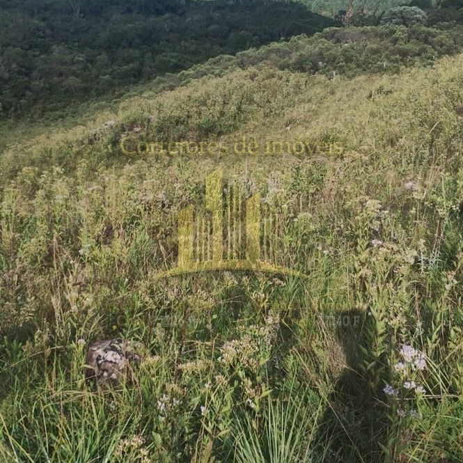 Área Rural Interior