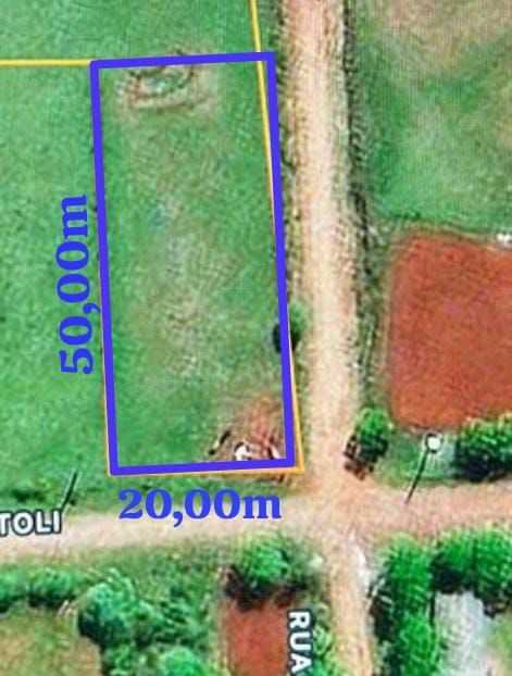 {{layout.imobiliaria.imb_razaosocial}}