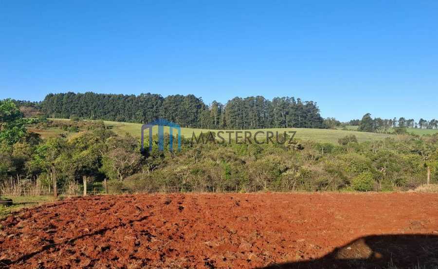 {{layout.imobiliaria.imb_razaosocial}}