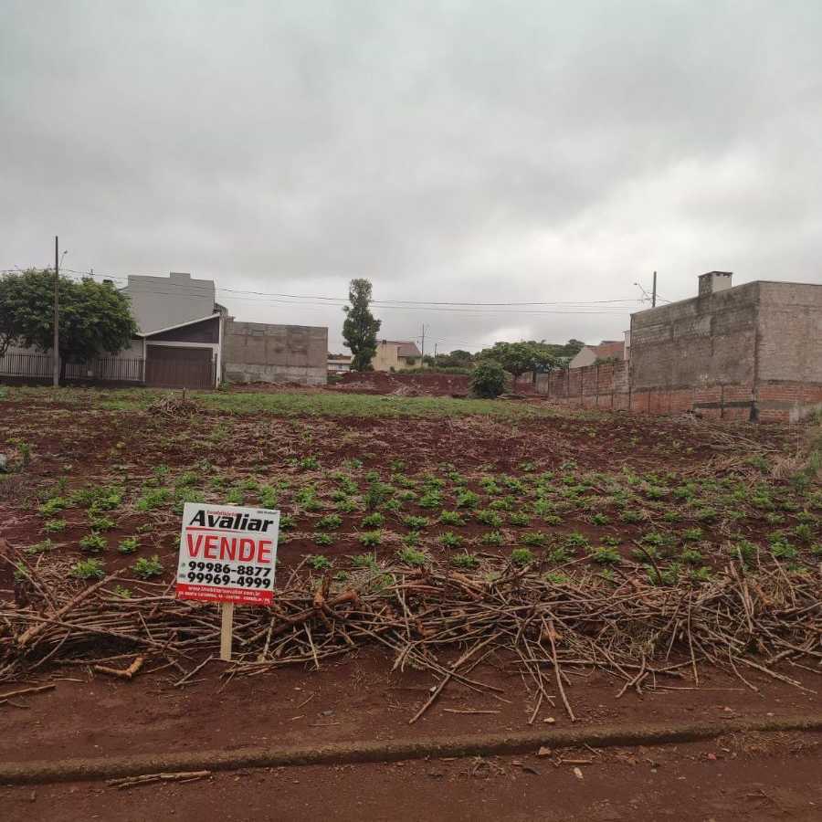 {{layout.imobiliaria.imb_razaosocial}}