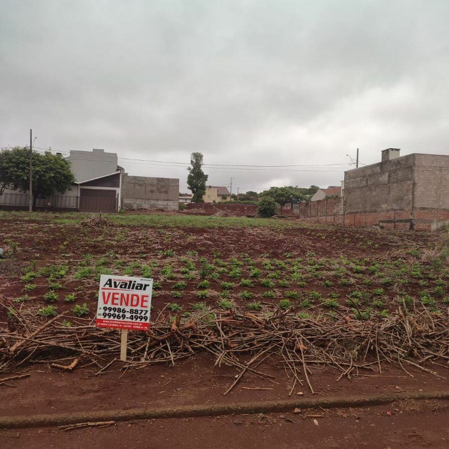 {{layout.imobiliaria.imb_razaosocial}}