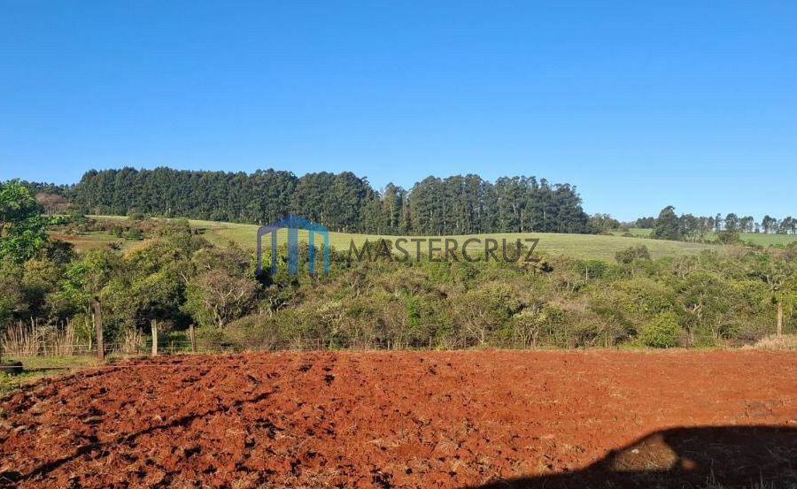 {{layout.imobiliaria.imb_razaosocial}}