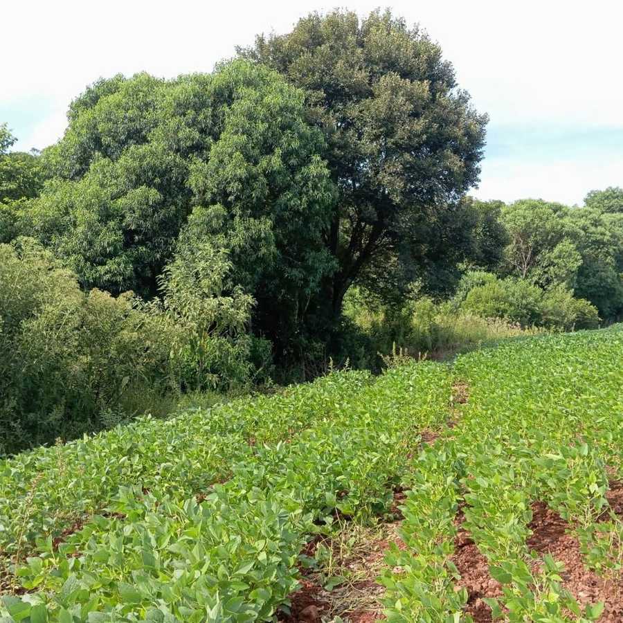 {{layout.imobiliaria.imb_razaosocial}}